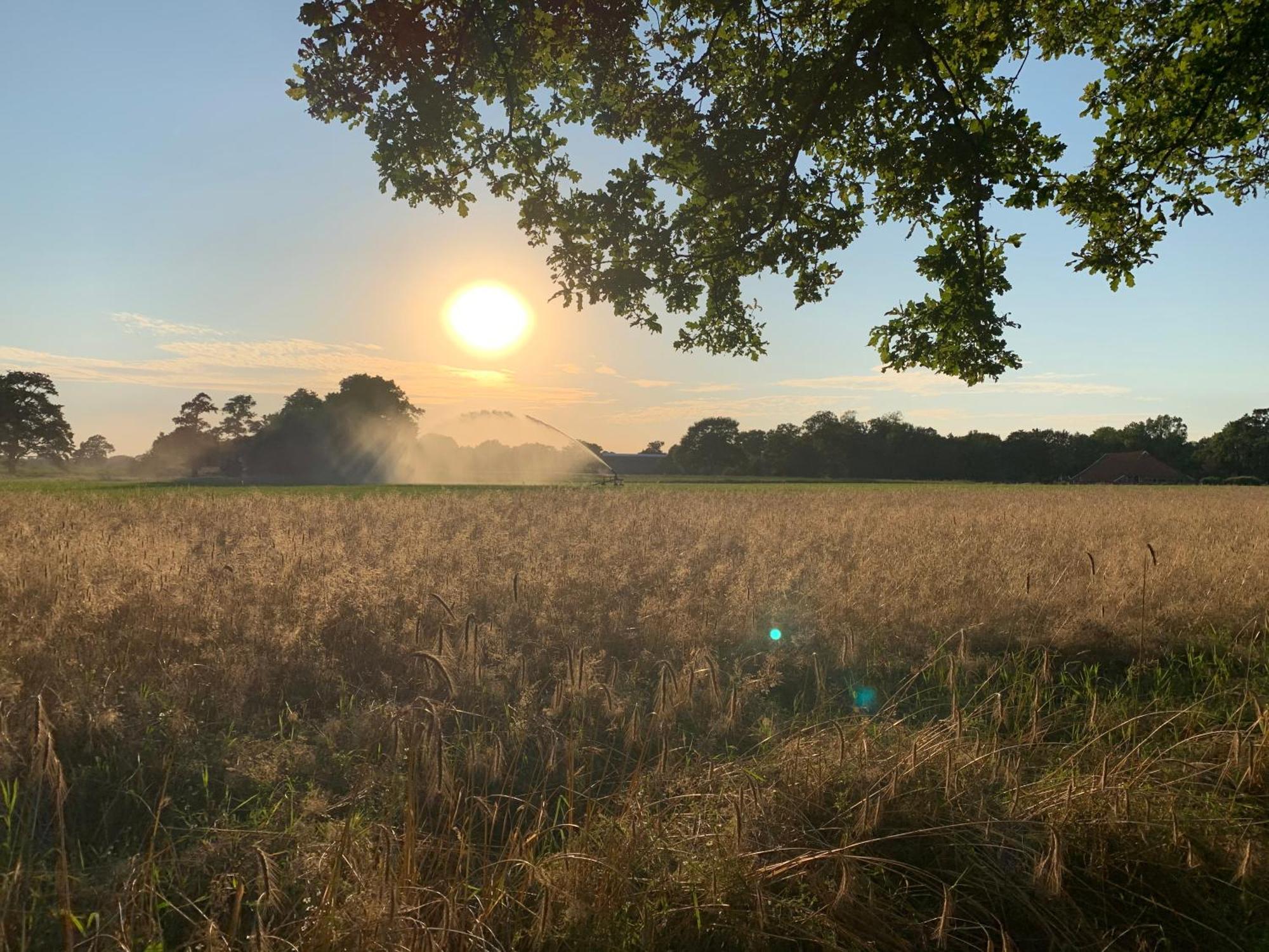 De Hiddinghhoeve Onstwedde Kültér fotó