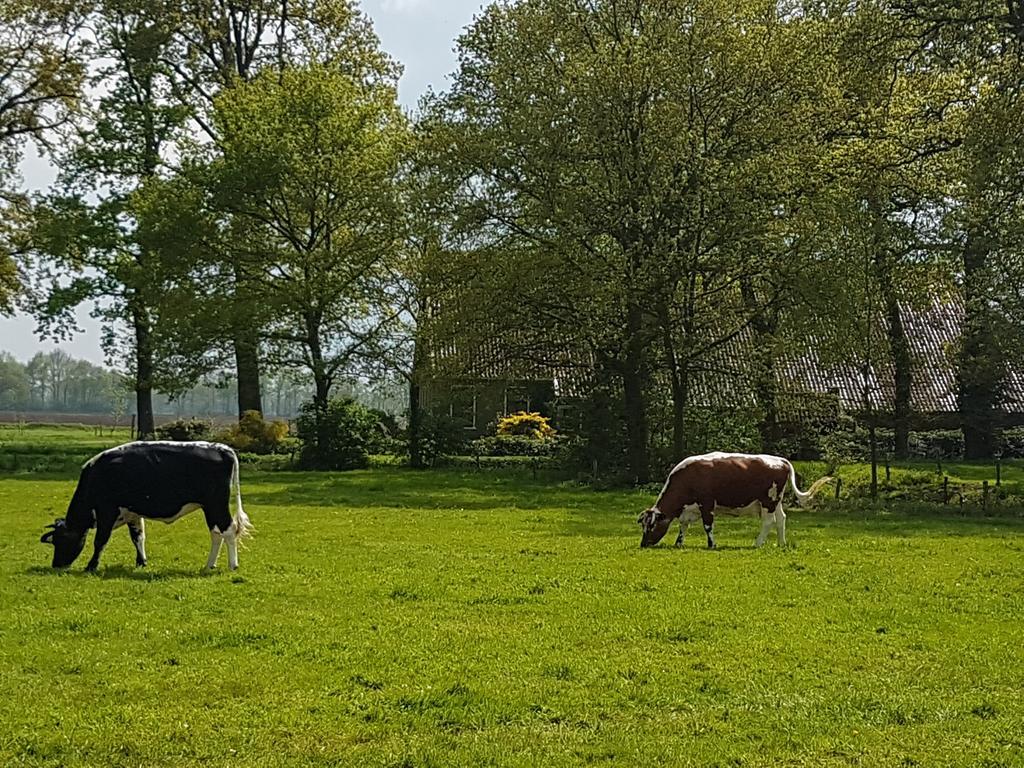 De Hiddinghhoeve Onstwedde Kültér fotó
